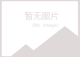 九江庐山冰夏机械有限公司